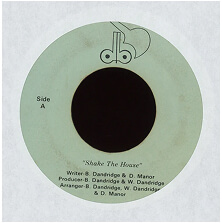 db - Shake The House Private Boogie Rap 45